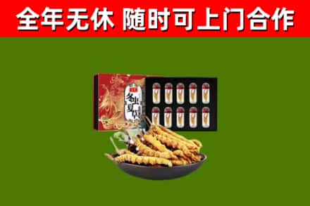 肇东回收冬虫夏草价格