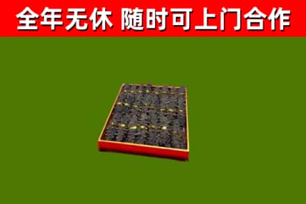 肇东回收海参